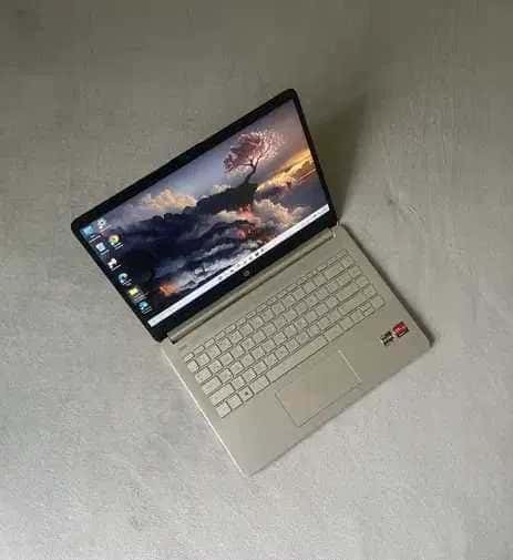 HP Laptop 14s-fq1003 FHD Ryzen 5 5500U 16/256