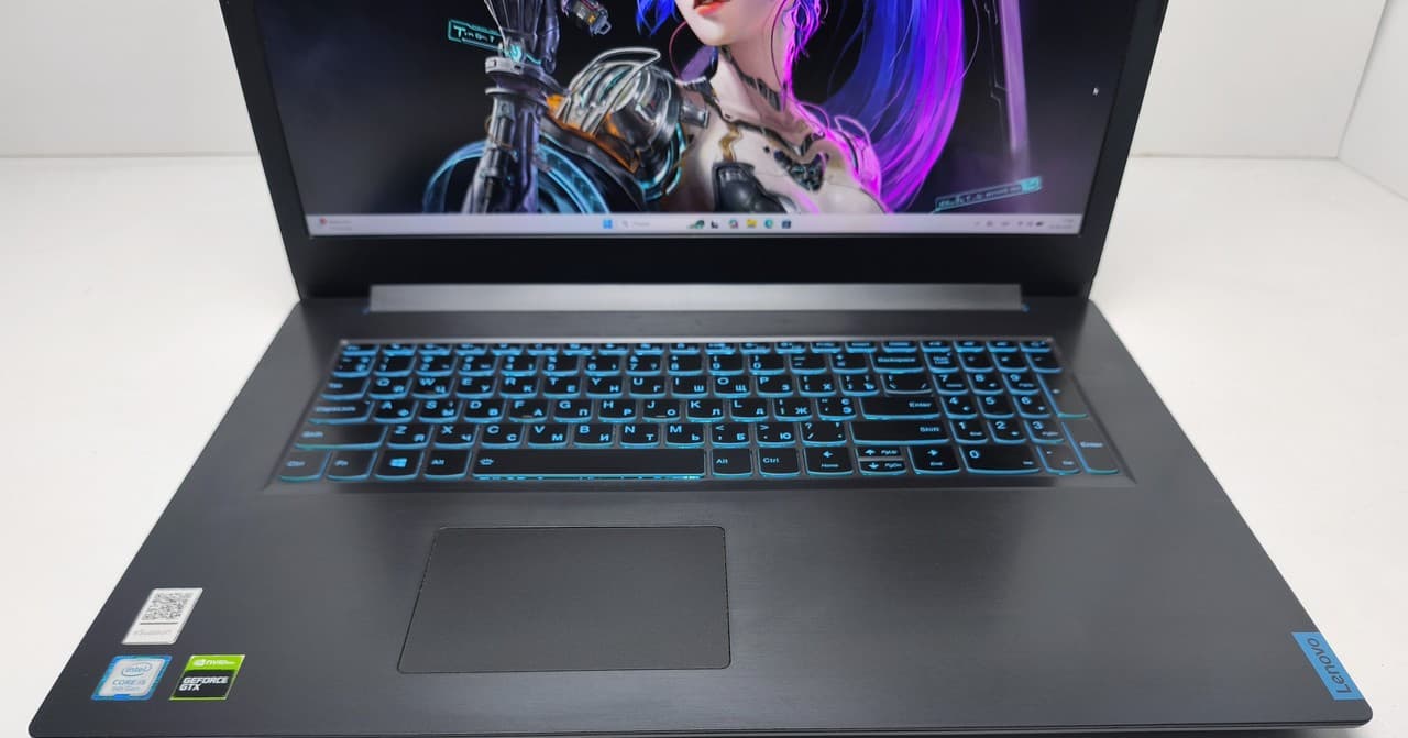 Lenovo IdeaPad L340 Gaming 17.3" Core i5-9300H 16/512 GTX 1050 3GB - фото 2