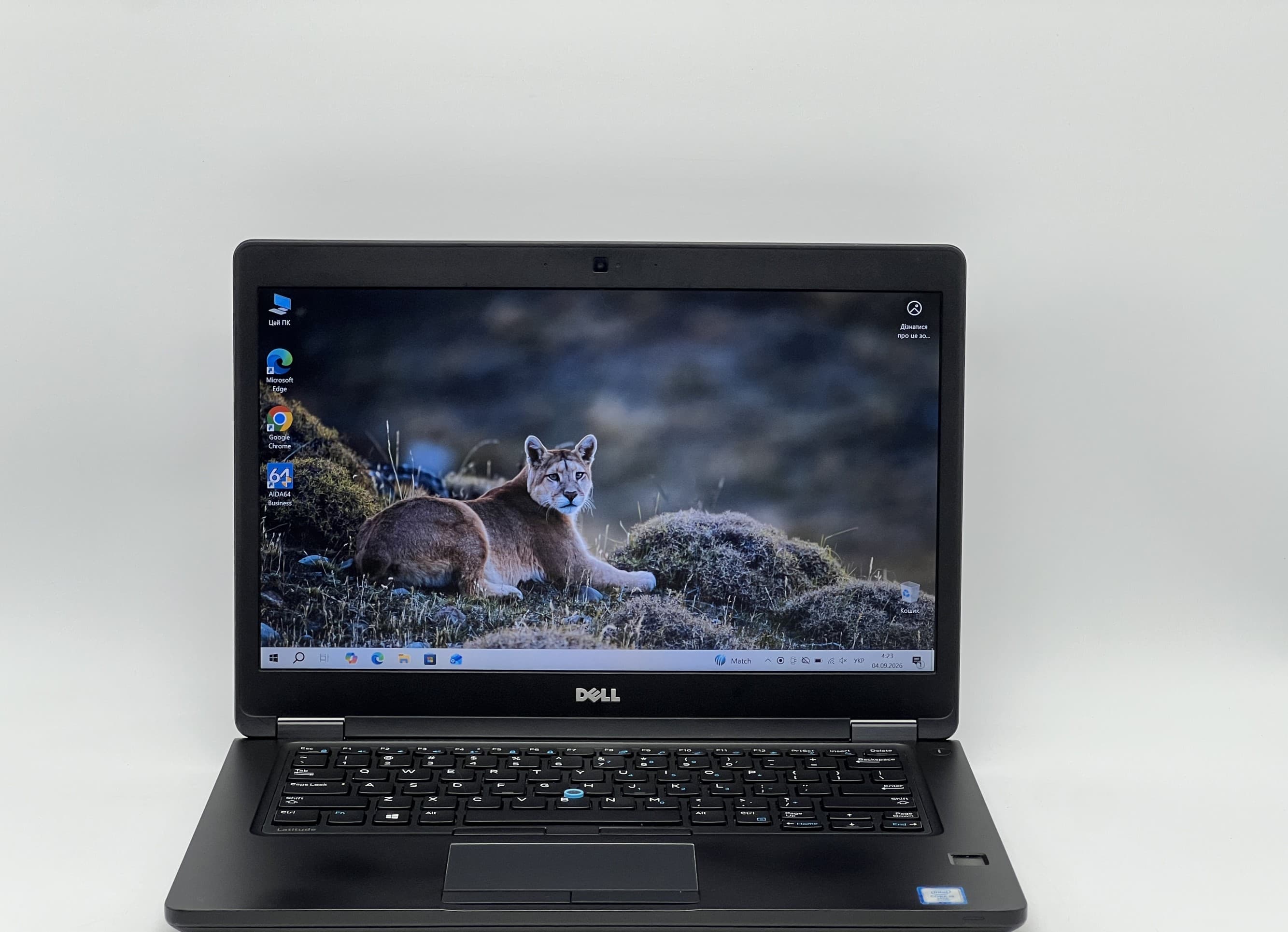 Dell Latitude 5480 14" i5-6300U 8/240 - фото 1