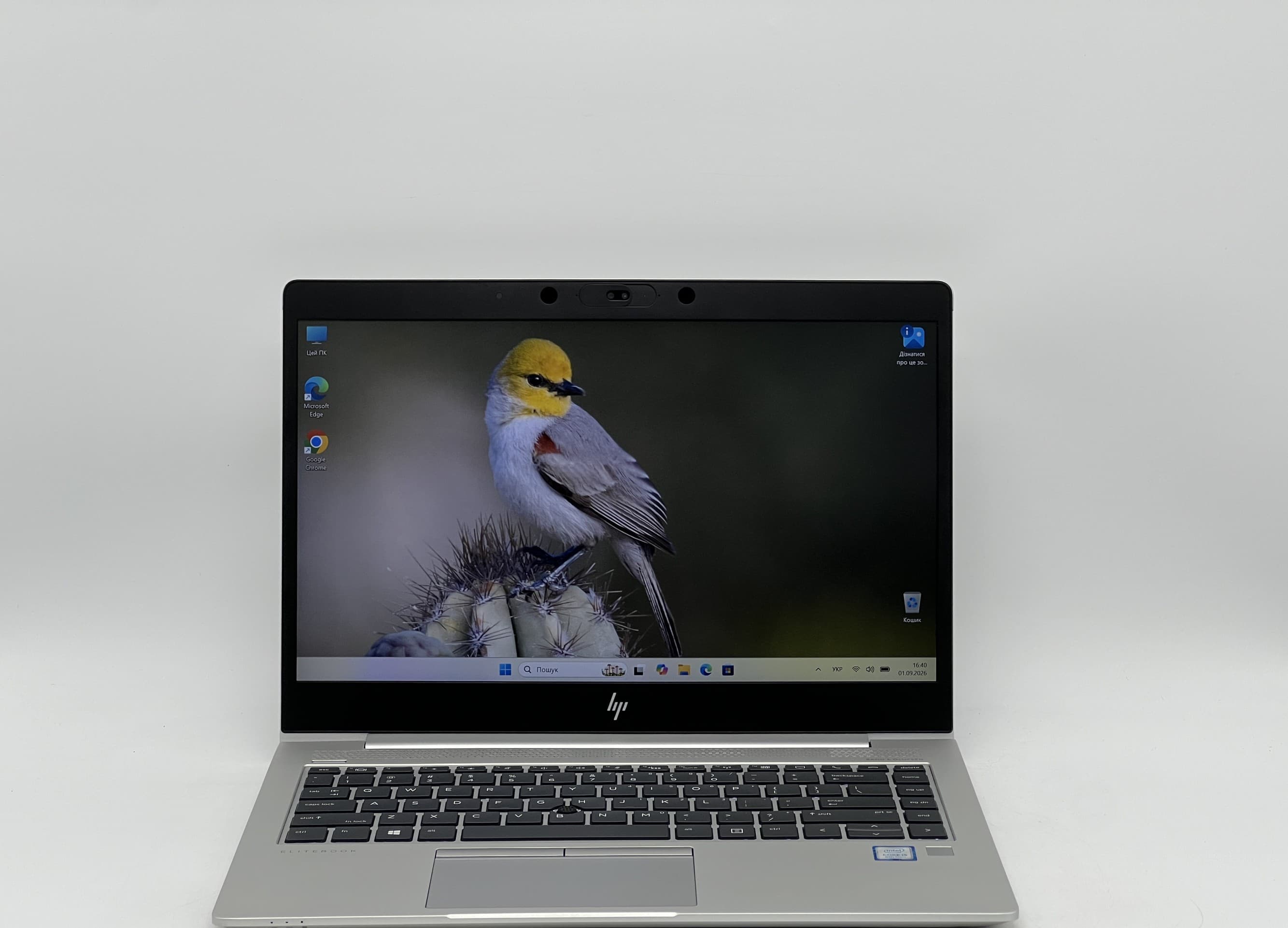 HP EliteBook 840 G5 14" i5-8350U 16/240 - фото 1