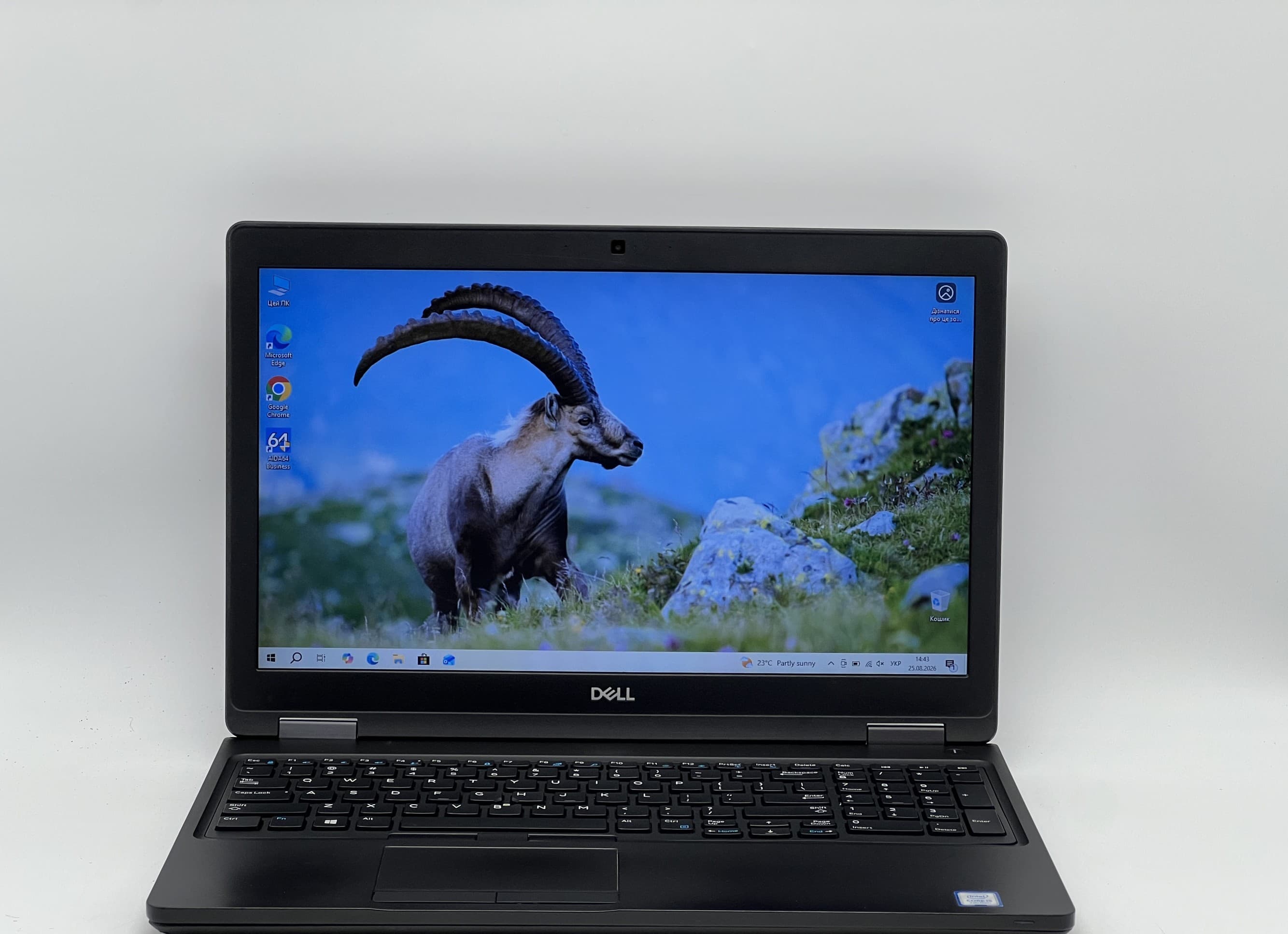Dell Latitude 5590 15" i5-7300U 8/120 - фото 1